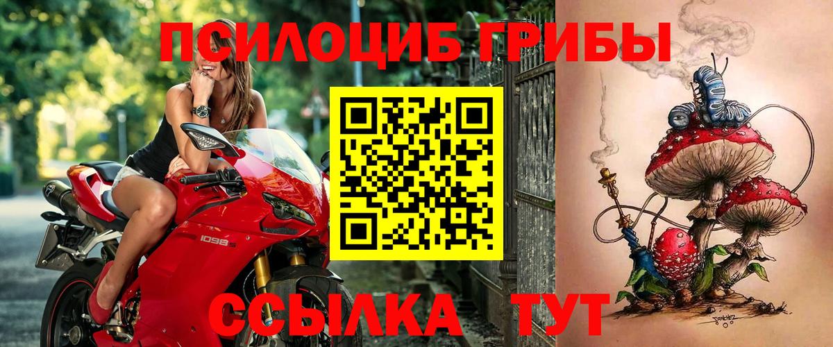 Мончегорск  Псилоцибиновые грибы мухоморы  Вход с VPN  наркотики  Псилоцибиновые грибы Magic Shrooms 