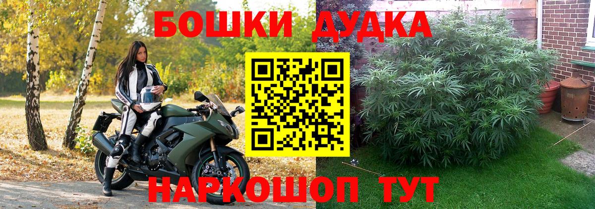 Шишки марихуана конопля Мончегорск